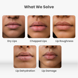 Multi Peptide Lip Balm for Lip Plumping and Hydration – 15 g